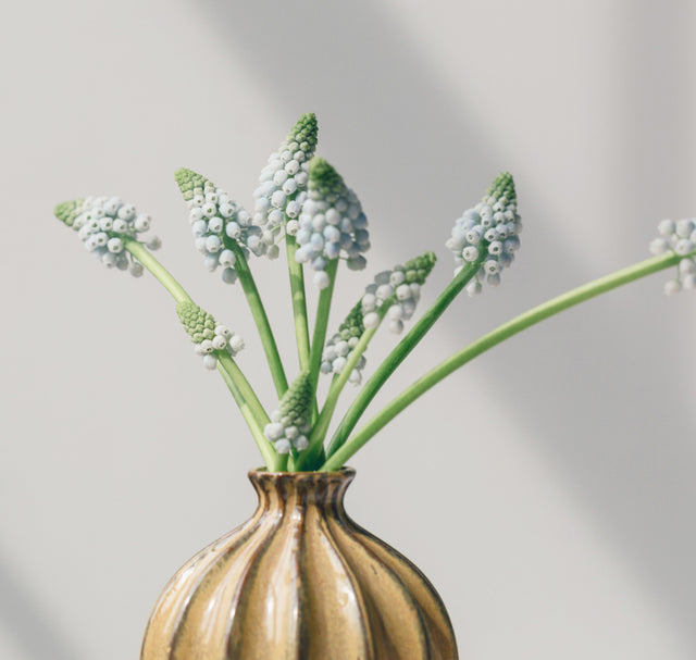 Vases