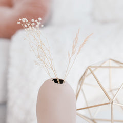 Collection image for: Decoration