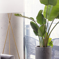 Collection image for: Lighting