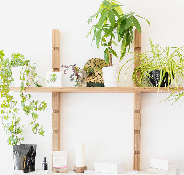 Plants