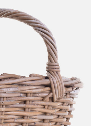 Basket Molly