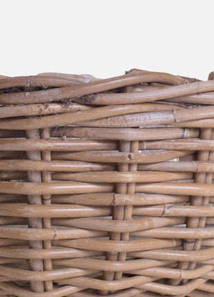 Basket Molly
