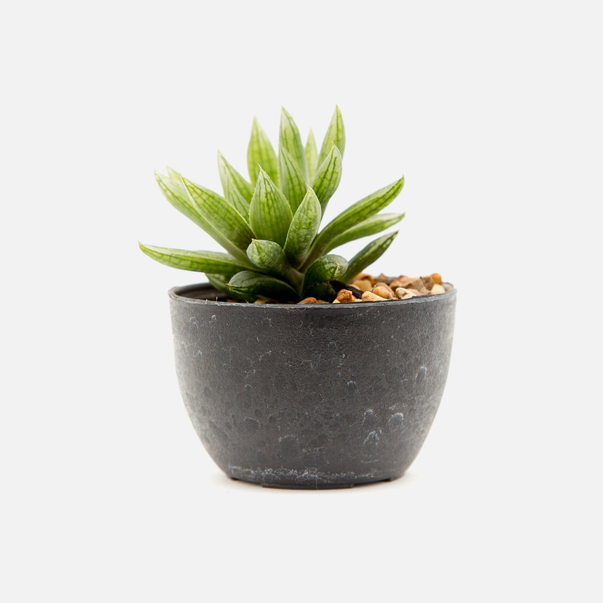 Pot with artificial plant