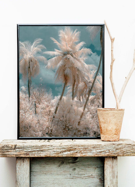 Wall poster Palm